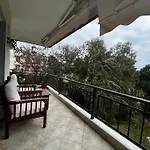 Dream Stay