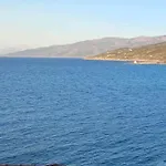 Domenica