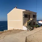 Κοχυλι 3