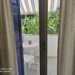 Dolphins