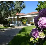 Aelia House - Elia