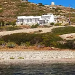 Alezina Studios