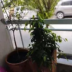 Cozy Apartment In Athens!
