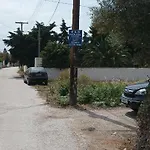 Basketball & Barbeque