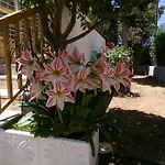 Kavouri Beach House Just 6 Minutes Walk To Kavouri Beach