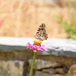 Villa Andromeda
