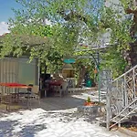 Veni Olive House