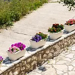 Nikoleta Studio 5