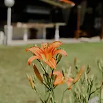 Villa Angelika Nea Iraklitsa