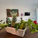 Feelings Houses
