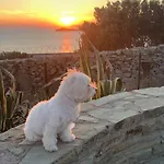 Andros