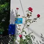Η Ελπίδα Και Η Γιάννα Ξεκίνησαν Ένα Χώρο Cute