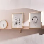 Bright & Gentle Apartment