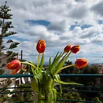 Family House In Nea Makri