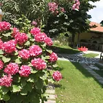 Lina Studios