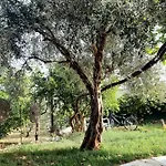 Σπίτι Στον Κήπο