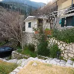 Mary'S House
