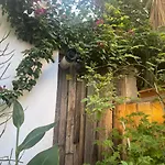 Eleonora'S Hidden Gem