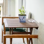 Sunlit Urban Oasis In Vibrant Palaio Faliro