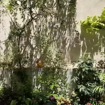 A-16. Amazing Sunny Patio Close To Acropolis