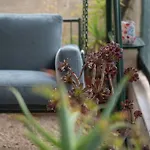 Twin Heights: A Retro Home For 3