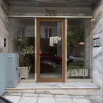 Luxurious Apartment In The Heart Of Athens