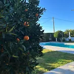 The Orange Garden