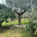 Chic Apartment In Nature, 5-Min Walk To The Beach