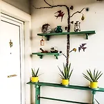 Your Spot West Peloponnese Shared Countryhouse