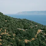 Hermitage Sykaminea