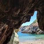 Green Oasis