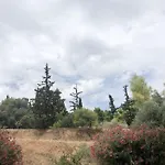 Olive Tree Deluxe Apt Under Acropolis Hillside