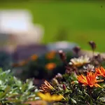 Theluxuryvillas