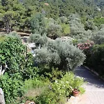 Sergi Home