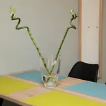 Ariadnis Apartment
