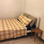 David'S House