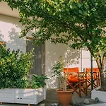 The Apricot Tree Studio