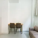 Snug Studio Apartment With Shared Garden IV