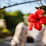 Mani'S Garden Paradise - Elia Secluded Retreat
