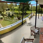 Pond And Pines, By Nice House By The Sea!