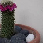 Mi Casa Es Tu Casa