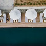 Five Olive Dream Trip