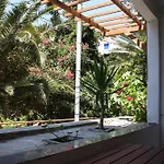 Amorani Studios