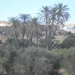 Hotel Delfini