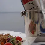 Delfini