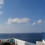 Delfini