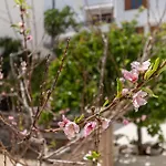 Amaranto Naxos