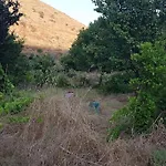 Κυθνος Δρυοπίδα, Στούντιο Χατζής