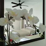 Paradise Garden Paros