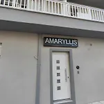 Amaryllis Maison Viziis